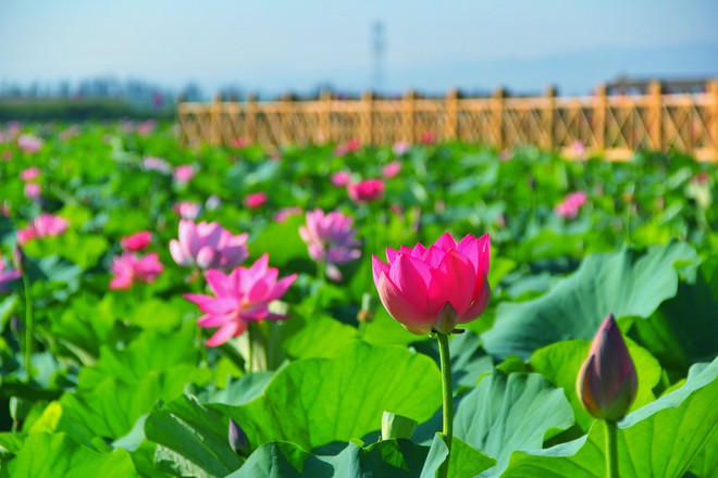 24h qua ảnh: Người đàn ông ngồi bán rau trên dòng nước đục ngầu do lụt lội - Ảnh 11.