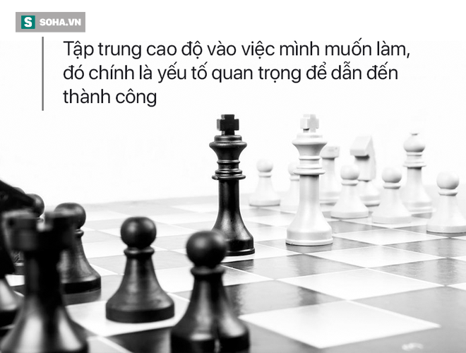 Thả 6 con chó vào phòng tuyển dụng, vị thương nhân tìm được nhân tài sau khi loại 70 người - Ảnh 1.