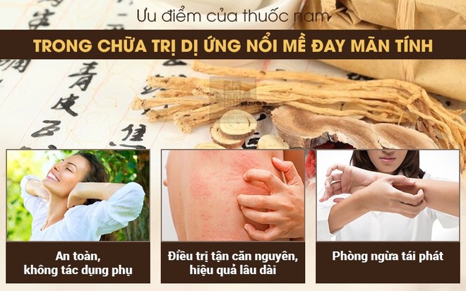 Dị ứng nổi mề đay mẩn ngứa mãn tính – Dấu hiệu và cách chữa hiệu quả - Ảnh 2.