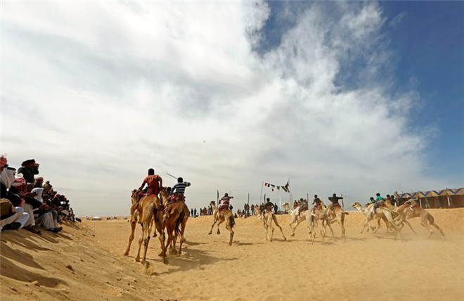 Kỳ thú cuộc đua lạc đà của những cậu bé giữa sa mạc Ai Cập - Ảnh 10.
