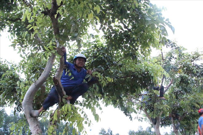 Tai nạn nghiêm trọng, cả trăm người đua nhau phát live Facebook - Ảnh 14.