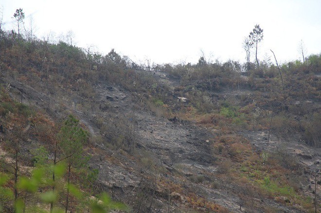 Cháy rừng liên tục ở Hà Tĩnh, thiếu thiết bị chữa cháy nói gì đến trực thăng - Ảnh 4.