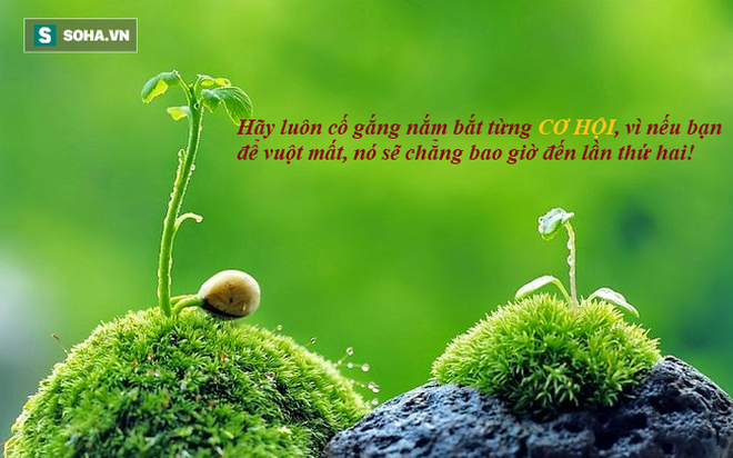 Chỉ nhặt 1 con chuột chết, chàng trai trẻ nhanh chóng trở nên giàu có theo cách không ngờ - Ảnh 3.