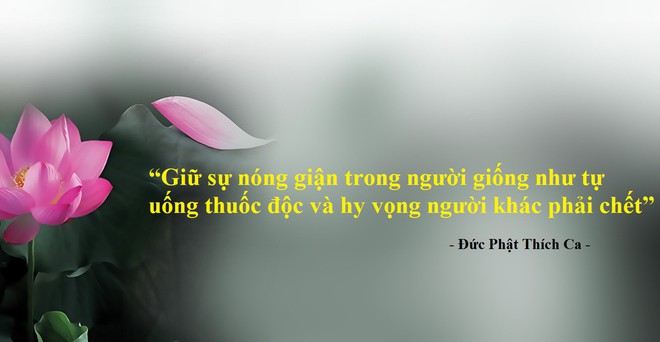 Ra lệnh cho người dân nhìn thấy chó là phải giết, Đức Vua nhận về 1 bài học nhớ đời - Ảnh 6.