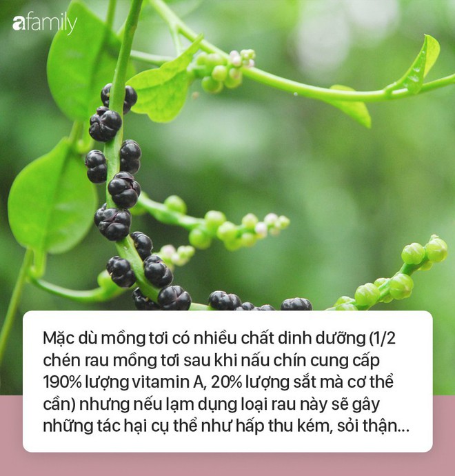 Ăn rau mồng tơi mà không nắm được những lưu ý cực quan trọng này sẽ gây hại sức khỏe - Ảnh 1.