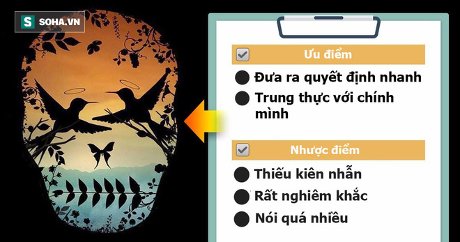 Bạn thấy đầu lâu hay đôi chim? Đáp án tiết lộ nét hấp dẫn của bạn trong mắt người khác - Ảnh 3.