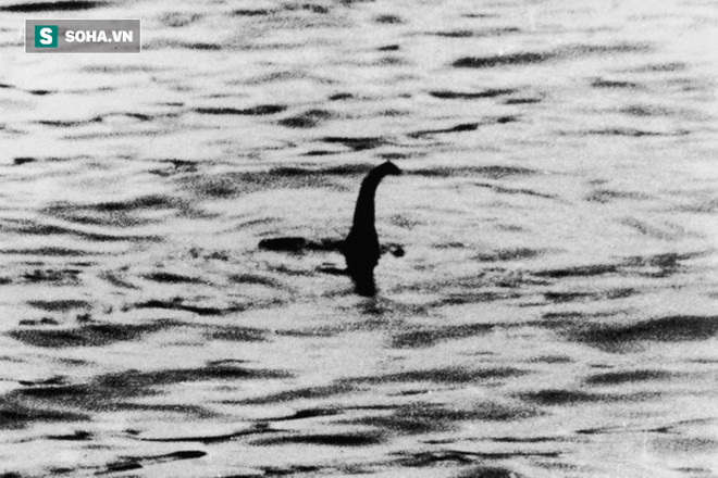 Nghi vấn quái vật hồ Loch Ness là thằn lằn đầu rắn khổng lồ, sống cách đây 245 triệu năm - Ảnh 4.