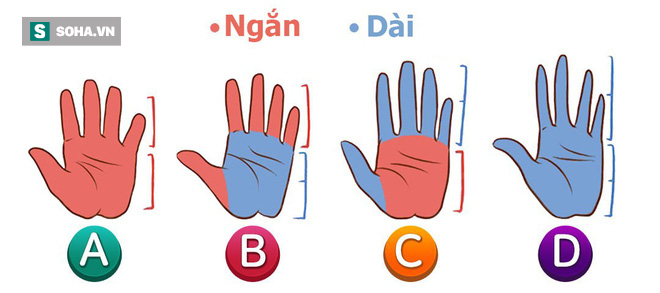 Sở hữu bàn tay trái dài hay ngắn cũng bộc lộ những phẩm chất tiềm ẩn tốt nhất trong bạn - Ảnh 1.