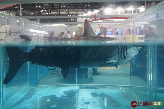 Tàu ngầm cá mập máy bí ẩn và đầy nguy hiểm của Trung Quốc - Ảnh 2.