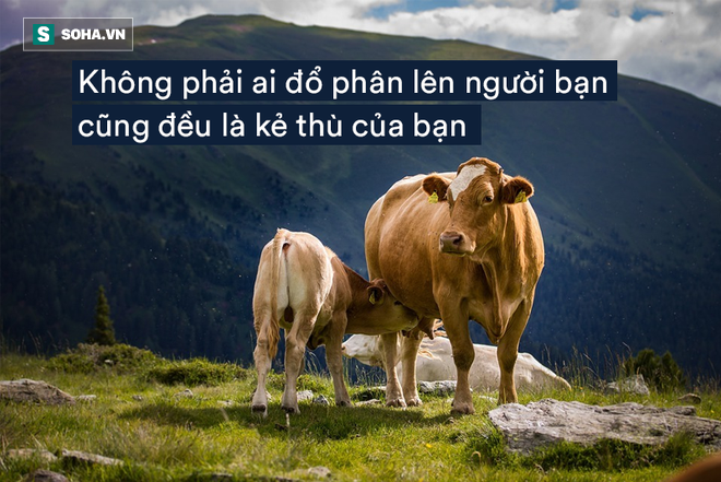 Chuyện con chim trong đống phân bò: Cái kết đủ đau để thức tỉnh nhiều người trong chúng ta - Ảnh 1.