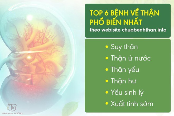 Thận ứ nước độ 1 - bệnh thận phổ biến tại Việt Nam - Ảnh 3.