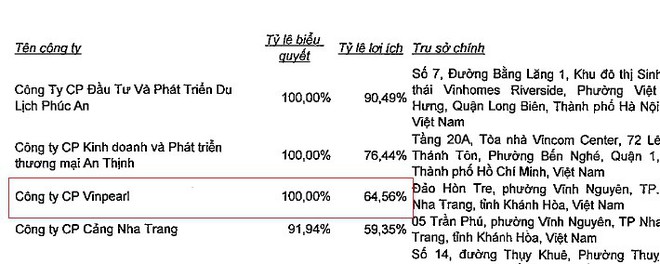 Thông tin hiếm hoi hé lộ mối quan hệ giữa Vingroup và hãng hàng không Vinpearl Air - Ảnh 2.