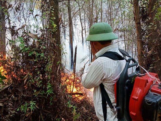 Toàn cảnh vụ cháy rừng thông ở Hà Tĩnh, lực lượng chức năng trắng đêm canh rừng - Ảnh 3.