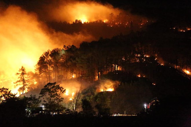 Toàn cảnh vụ cháy rừng thông ở Hà Tĩnh, lực lượng chức năng trắng đêm canh rừng - Ảnh 4.