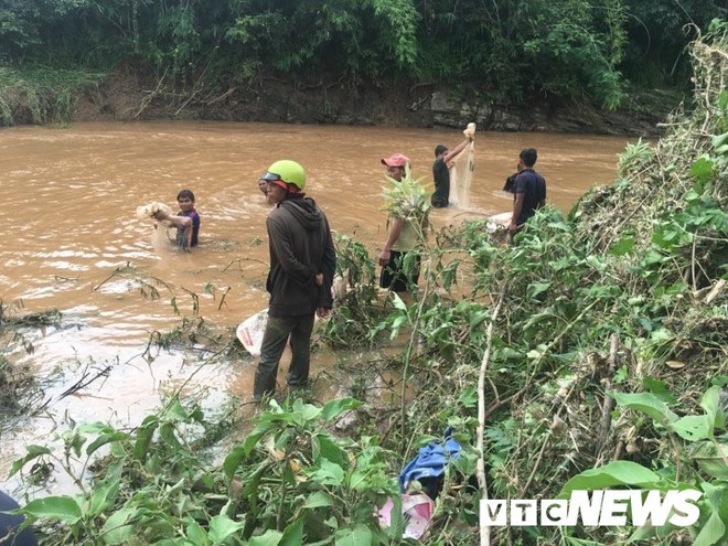 Ảnh: Sau mưa lớn khủng khiếp, dân Đắk Lắk hò nhau đi bắt cá - Ảnh 2.