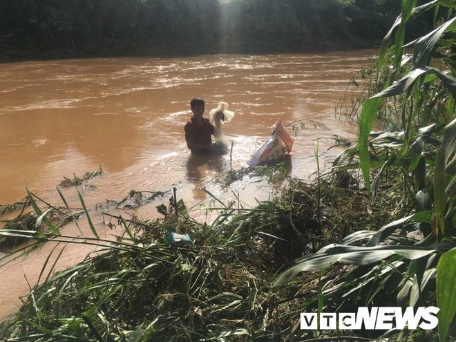 Ảnh: Sau mưa lớn khủng khiếp, dân Đắk Lắk hò nhau đi bắt cá - Ảnh 3.