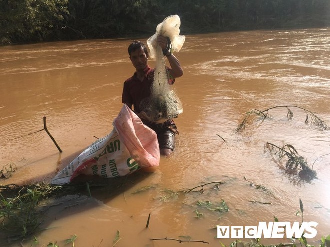 Ảnh: Sau mưa lớn khủng khiếp, dân Đắk Lắk hò nhau đi bắt cá - Ảnh 6.