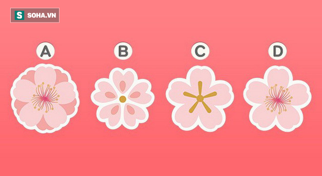 Bạn yêu cuồng nhiệt hay yêu ngọt ngào? Hãy chọn 1 bông hoa đào và xem đáp án - Ảnh 1.