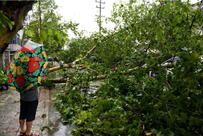 Siêu bão Lekima càn quét Trung Quốc: Số người thiệt mạng tăng lên 28  - Ảnh 3.