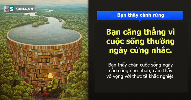 Tìm ra nguyên nhân gây stress quá đơn giản, chỉ cần chọn xem thấy hình ảnh nào đầu tiên - Ảnh 2.