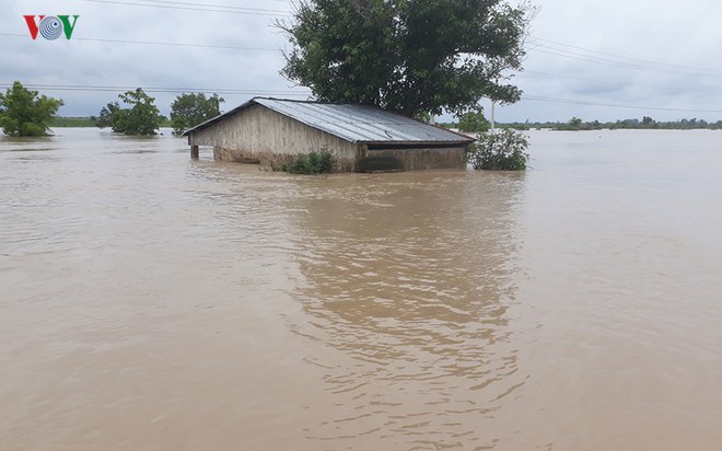 Tây Nguyên: 10 năm thiên tai và nhân họa - Ảnh 1.