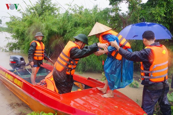 Tây Nguyên: 10 năm thiên tai và nhân họa - Ảnh 15.