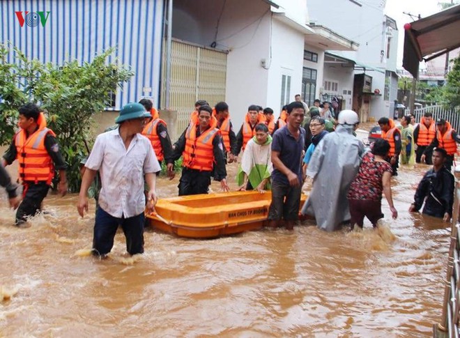 Tây Nguyên: 10 năm thiên tai và nhân họa - Ảnh 16.