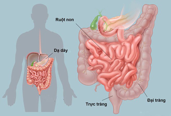 Người cao tuổi ăn uống thế nào để luôn khỏe? - Ảnh 1.