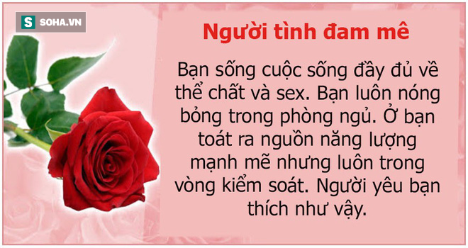 Bạn thích bông hoa nào? Màu sắc của chúng cũng tiết lộ cá tính con người bạn - Ảnh 2.