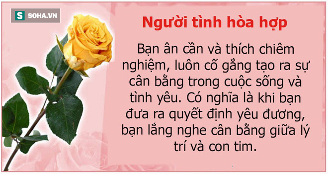 Bạn thích bông hoa nào? Màu sắc của chúng cũng tiết lộ cá tính con người bạn - Ảnh 3.