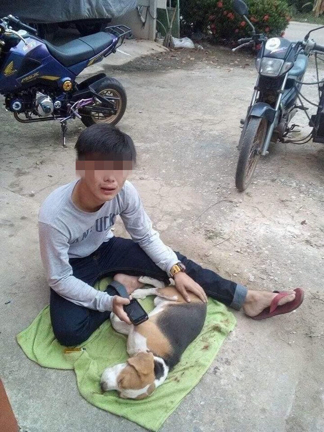 Hình ảnh chàng trai khóc nghẹn, ôm chú chó đã chết khiến nhiều người thương cảm - Ảnh 2.