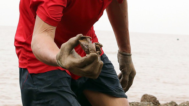 Bão sầm sập ngoài khơi, ngư dân tranh thủ nhặt hải sản trên bờ - Ảnh 5.