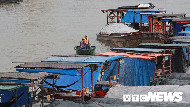 Hình ảnh mới nhất tại Quảng Ninh và Hải Phòng trước giờ bão số 3 đổ bộ - Ảnh 6.