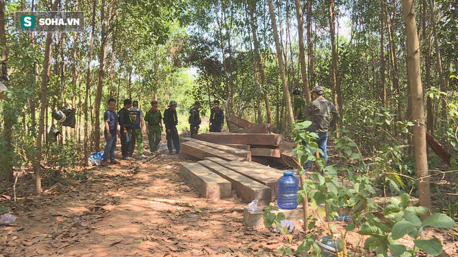 Đội đặc nhiệm mật phục 5 tháng bắt quả tang trưởng thôn phá rừng, xẻ nhiều cây gỗ khủng - Ảnh 3.