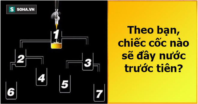 Câu trả lời cho những cốc bia này cũng có thể bật mí tài năng của bạn - Ảnh 1.