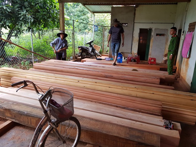Vụ mặt phục 5 tháng bắt quả tang trưởng thôn cùng nhóm đối tượng phá rừng: Phát hiện 5 điểm tập kết gỗ lậu và 200m3 gỗ trên diện tích 30ha rừng bị cưa hạ - Ảnh 1.