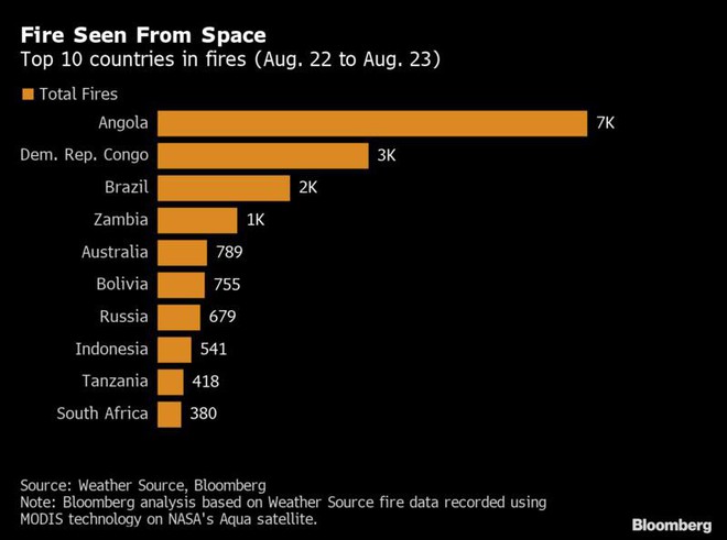 Bloomberg: Cháy rừng khủng khiếp ở Brazil cũng chỉ xếp thứ 3 về số lượng - Ảnh 2.