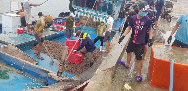 Ngư dân Hà Tĩnh trúng mánh, mỗi ngày thu đến 20 triệu từ ốc xoắn, sò nhám - Ảnh 2.