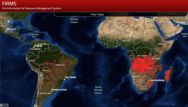 Bloomberg: Cháy rừng khủng khiếp ở Brazil cũng chỉ xếp thứ 3 về số lượng - Ảnh 3.