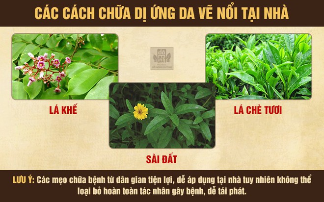 Dị ứng da vẽ nổi: Nguyên nhân, triệu chứng và cách chữa an toàn từ thảo dược - Ảnh 2.