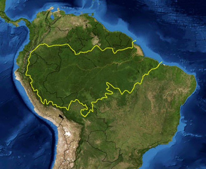 Rừng Amazon tạo ra được bao nhiêu oxy cho thế giới? Hóa ra không nhiều như bạn nghĩ - Ảnh 1.