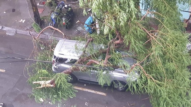 Hà Nội: Cơn dông kinh hoàng, cây xanh đổ trúng người, nhiều gian hàng ngoài trời bị thổi bay - Ảnh 7.