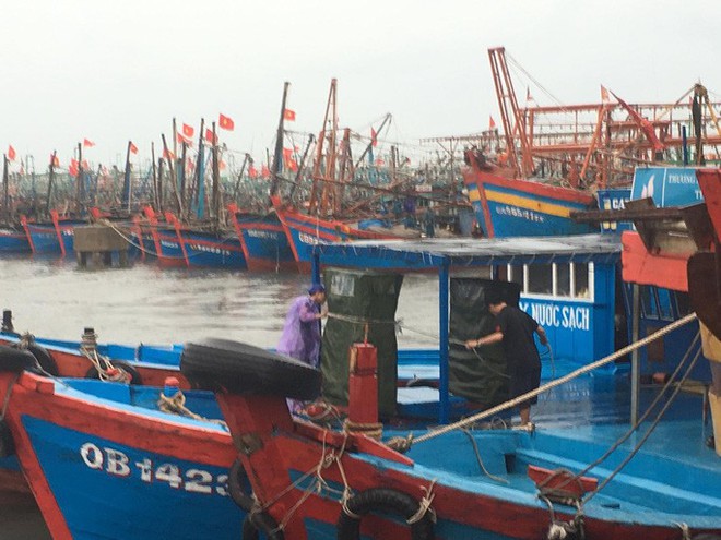 Hơn 150 tàu cá Quảng Bình nằm trong vùng nguy hiểm bão số 4 - Ảnh 1.