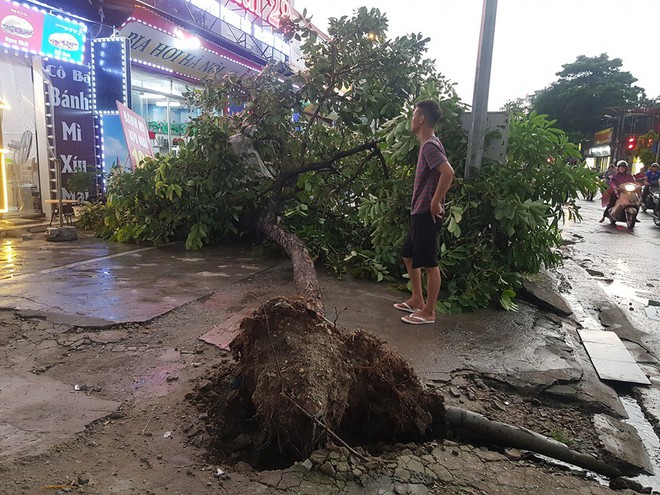 Mưa giông dữ dội từ cuối chiều ở Hà Nội, 1 nam thanh niên bị cây si đổ trúng tử vong - Ảnh 28.