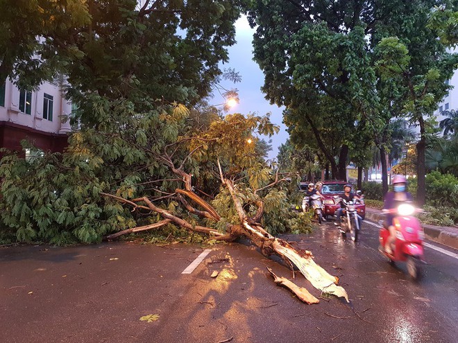 Mưa giông dữ dội từ cuối chiều ở Hà Nội, 1 nam thanh niên bị cây si đổ trúng tử vong - Ảnh 16.