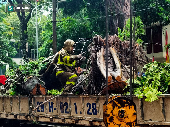 [Ảnh] Người dân, công an đội mưa dọn hàng loạt cây xanh bật gốc trên phố Hà Nội sau cơn bão số 3 - Ảnh 4.