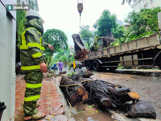 [Ảnh] Người dân, công an đội mưa dọn hàng loạt cây xanh bật gốc trên phố Hà Nội sau cơn bão số 3 - Ảnh 6.