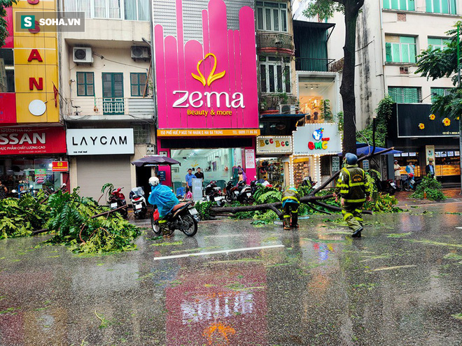 [Ảnh] Người dân, công an đội mưa dọn hàng loạt cây xanh bật gốc trên phố Hà Nội sau cơn bão số 3 - Ảnh 8.