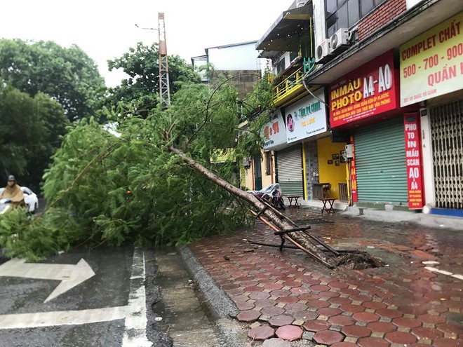 Ảnh hưởng của bão số 3, Hà Nội ngập nhiều tuyến phố, cây xanh gãy cành, bật gốc - Ảnh 3.