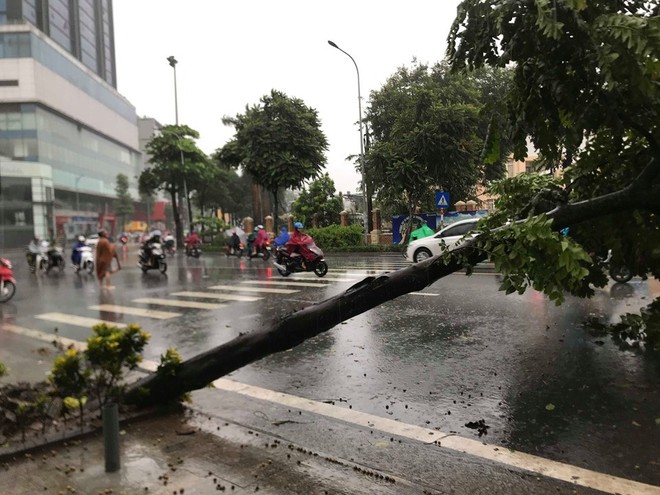 Ảnh hưởng của bão số 3, Hà Nội ngập nhiều tuyến phố, cây xanh gãy cành, bật gốc - Ảnh 5.